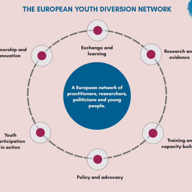 youth diversion network infographic pic
