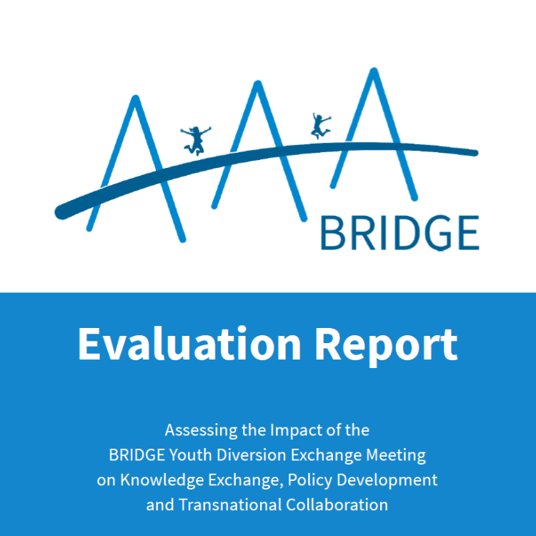 evaluation report pic
